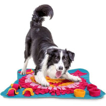 TAPIS-DE-FOUILLE-CHIEN