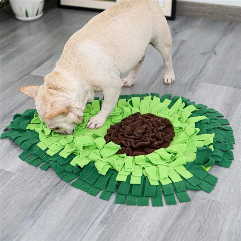 Tapis de fouille chien