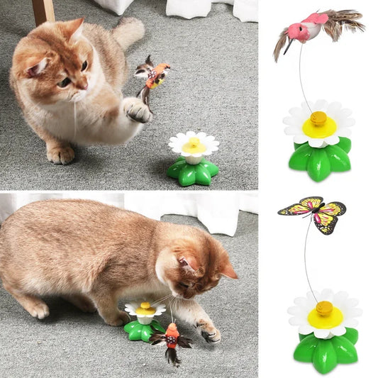 Papillon volant jouet chat interactif