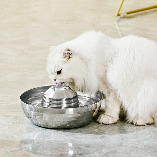 Petite Fontaine à Eau Chat en Acier Inoxydable