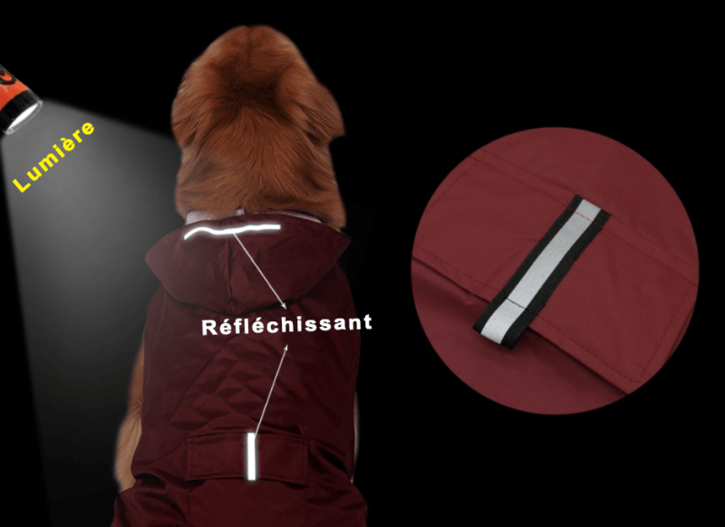 Veste imperméable et réfléchissante pour chien