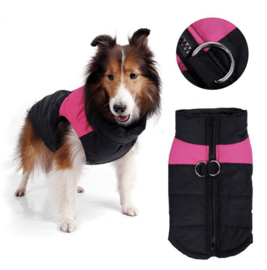 Doudoune imperméable ultra chaude pour chien