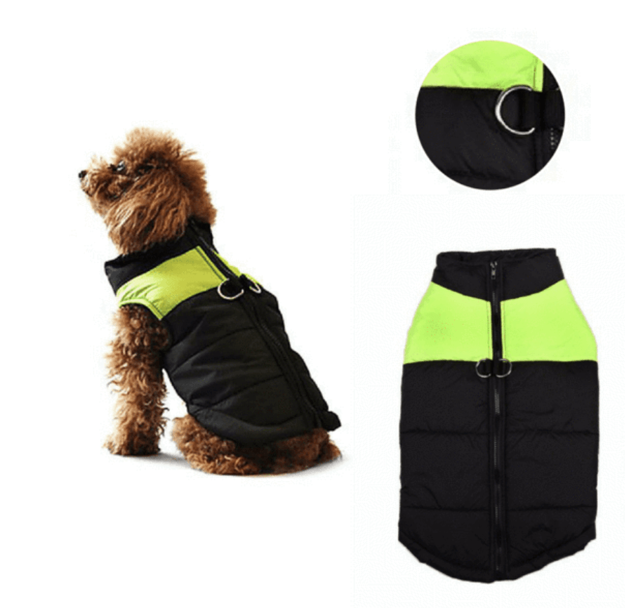 Doudoune imperméable ultra chaude pour chien