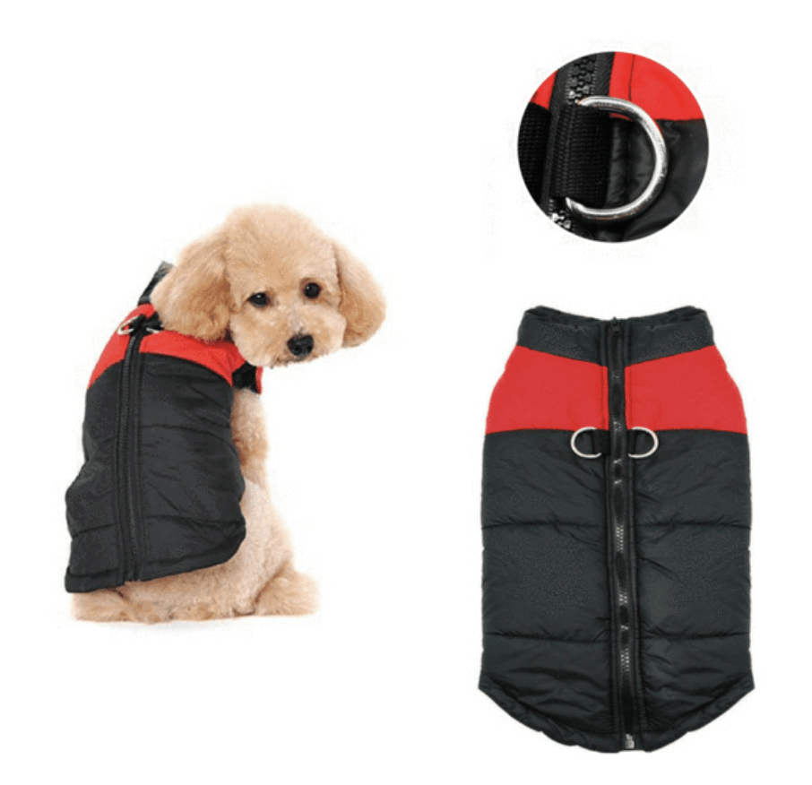 Doudoune imperméable ultra chaude pour chien