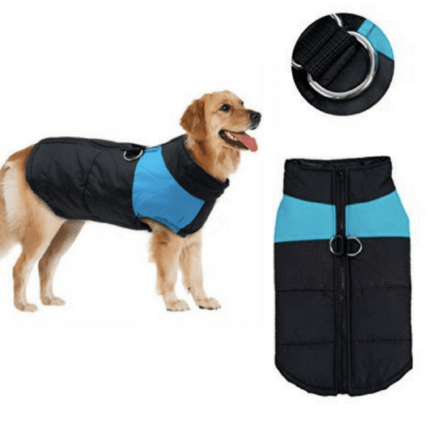 Doudoune imperméable ultra chaude pour chien