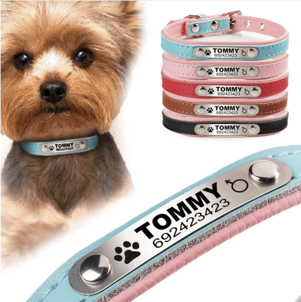 Collier Chic personnalisé pour chien