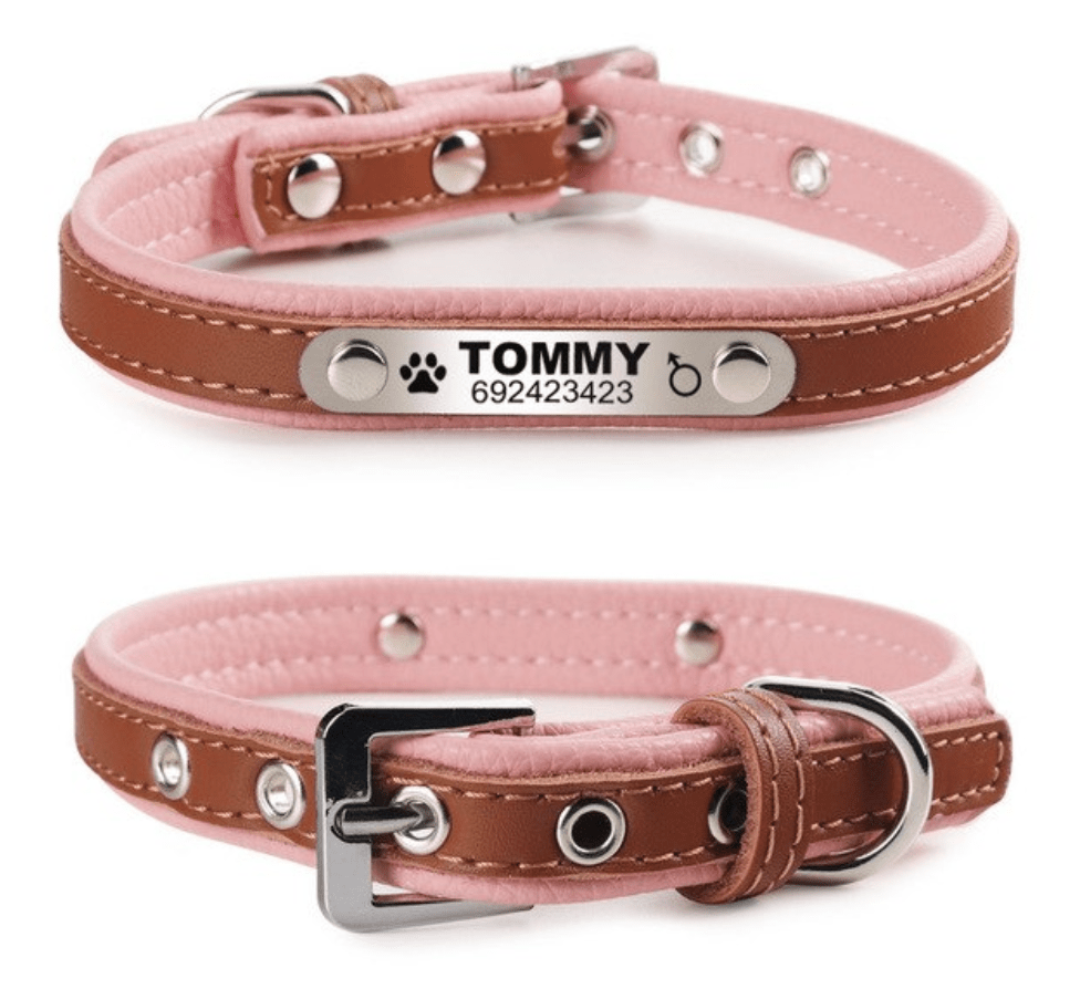 Collier Chic personnalisé pour chien