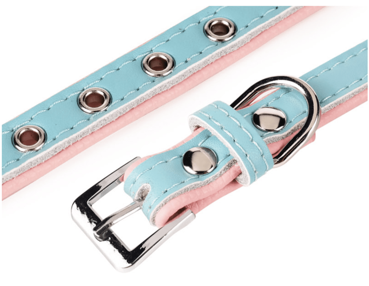 Collier Chic personnalisé pour chien