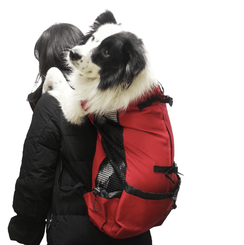 Sac à dos transport pour Chien