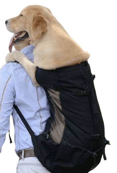 Sac à dos transport pour Chien