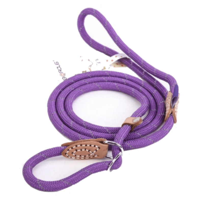 Laisse Lasso pour Chien