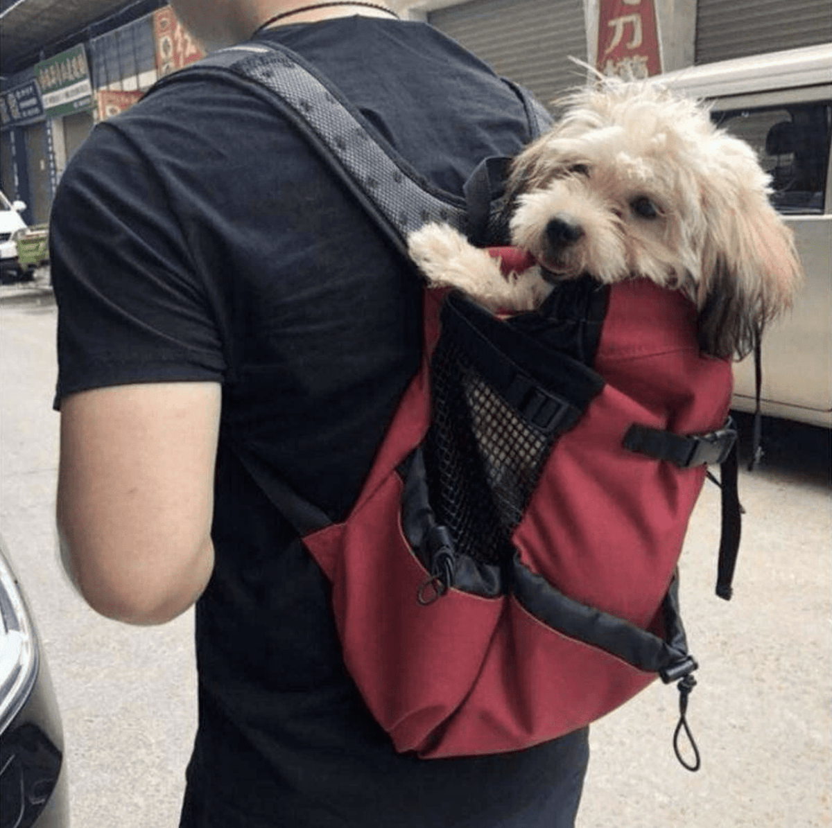 Sac à dos transport pour Chien