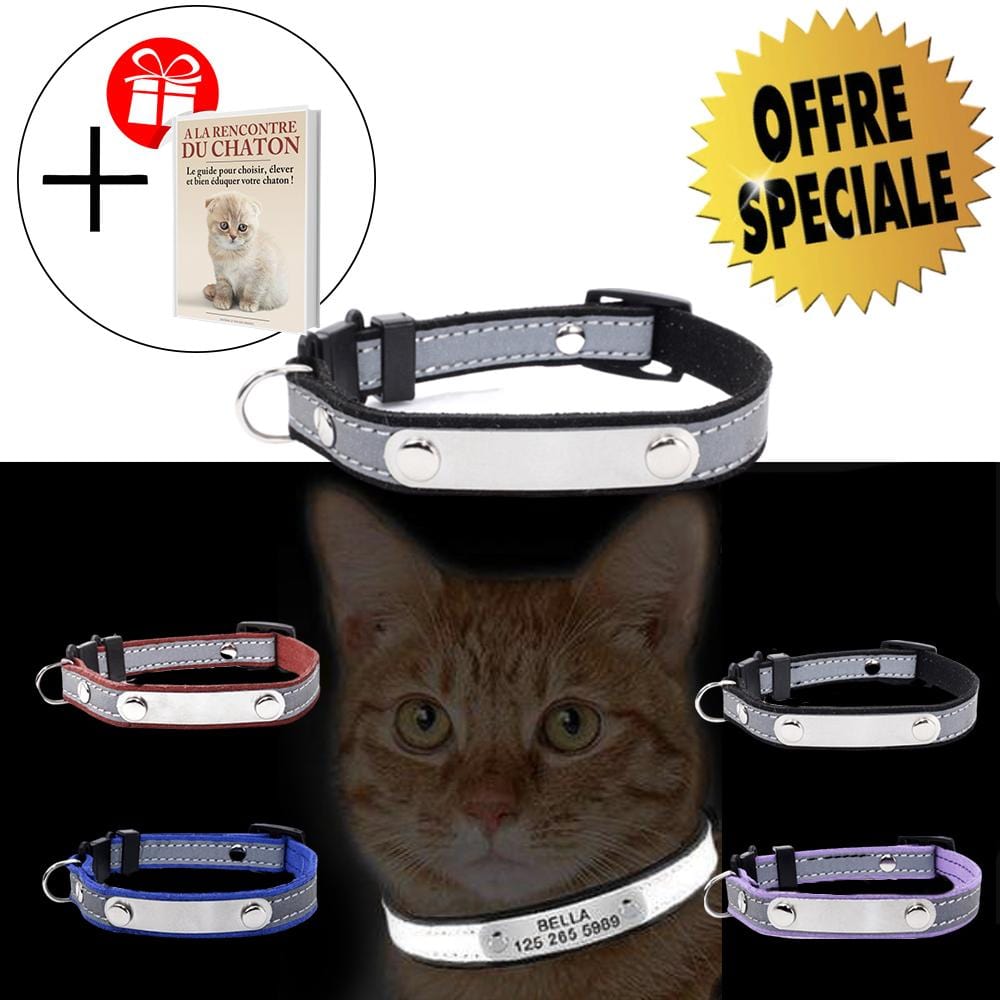 Collier ultra réfléchissant et personnalisé anti étranglement pour chats