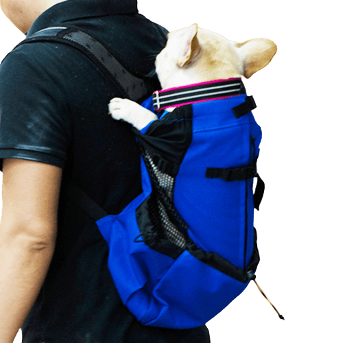 Sac à dos transport pour Chien