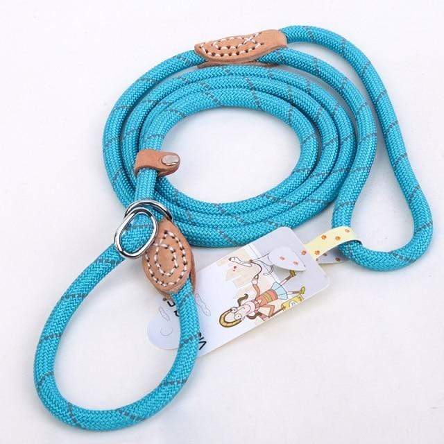 Laisse Lasso pour Chien