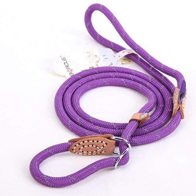 Laisse Lasso pour Chien