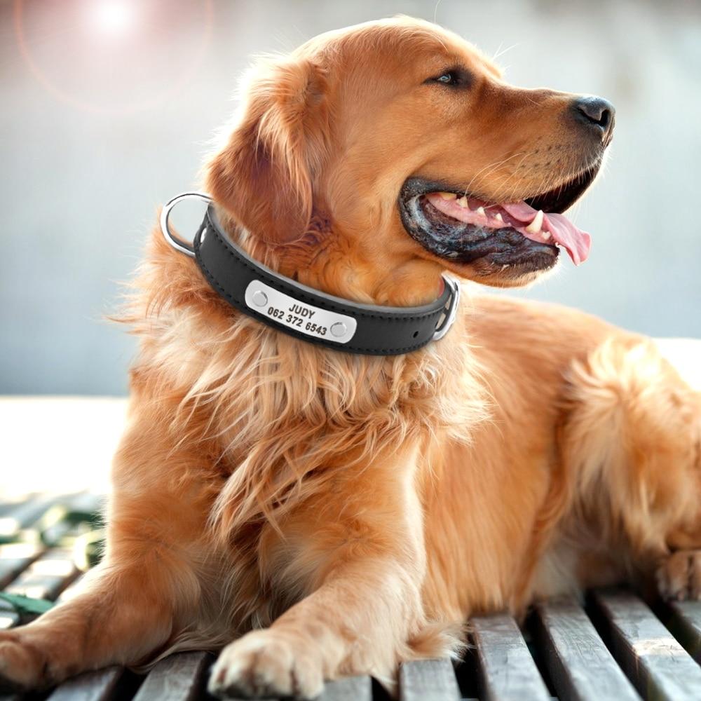 Collier en cuir avec étiquette personnalisé Nom et N° Téléphone  pour Chiens