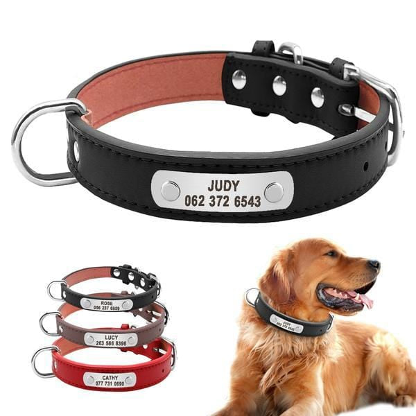 Collier en cuir avec étiquette personnalisé Nom et N° Téléphone  pour Chiens