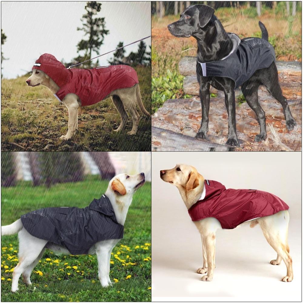 Veste imperméable et réfléchissante pour chien