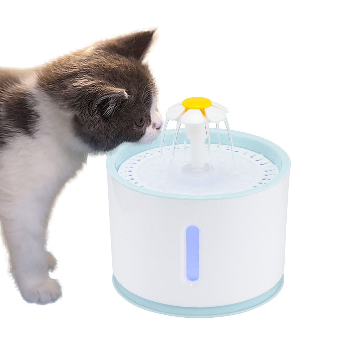 Fontaine 360 à eau pour chats et chiens